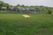 Cricket at Kissena Corridor Park.